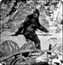 You shoulda seen me before I shaved